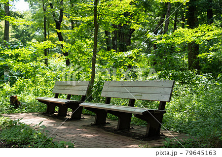 公園のベンチ 公園のベンチとゴミ箱 | 株式会社 ハセガワ