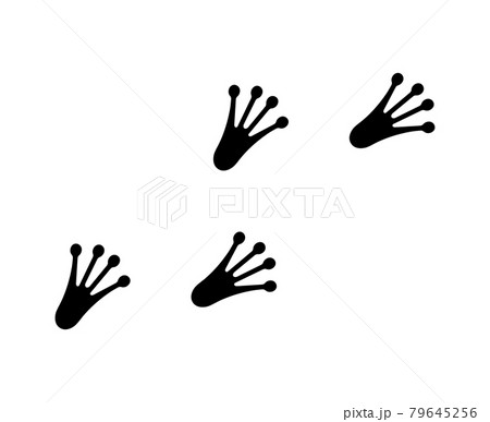 カエルの足跡 79645256