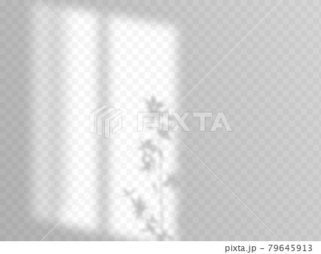 Modern shadow overlay, great design for any purposes. Blurred soft shadow from the window and Modern shadow overlay, great design for any purposes. Blurred soft shadow from the window and 79645913