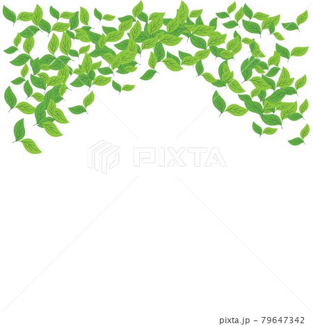 leaves background leaves background 79647342