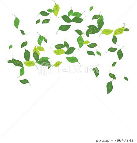leaves background 79647343