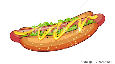 Realistic Sandwich with Sausage and Fresh Vegetables - Vector Realistic Sandwich with Sausage and Fresh Vegetables - Vector 79647481