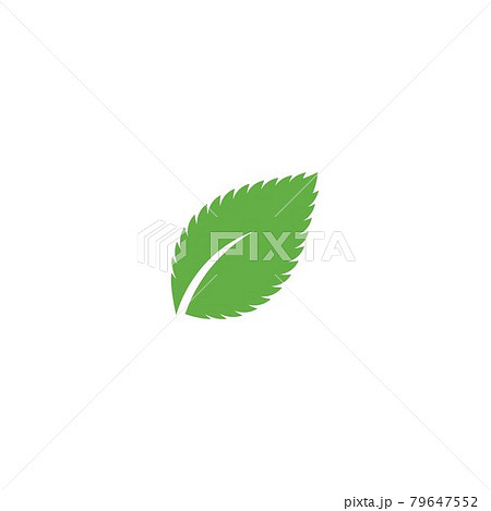 Mint leaf logo 79647552