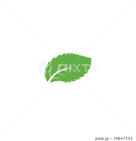 Mint leaf logo 79647553