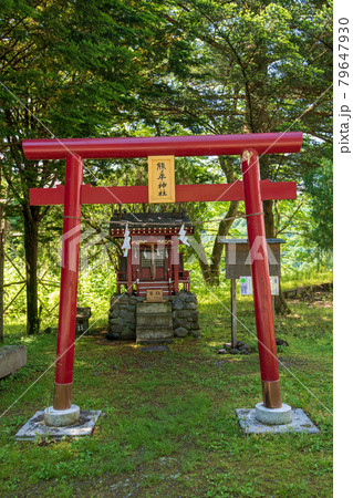 熊ノ平神社 熊ノ平駅 周辺の景色 アプトの道 初夏の風景 安中市 熊ノ平神社 熊ノ平駅 周辺の景色 アプトの道 初夏の風景 安中市 79647930