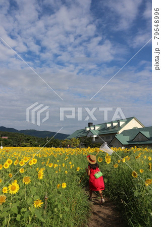 南砺市のひまわり畑と少女2 南砺市のひまわり畑と少女2 79648996