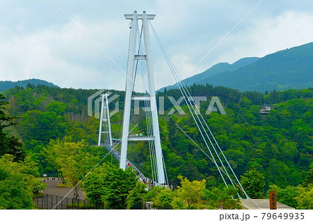 髙さ日本一九重連山の壮大な景観を眺められる人道専用吊橋 九重「夢」大吊 髙さ日本一九重連山の壮大な景観を眺められる人道専用吊橋 九重「夢」大吊 79649935