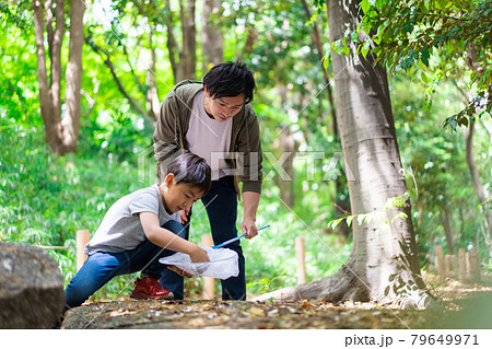 虫取りをするお父さんと男の子 虫取りをするお父さんと男の子 79649971