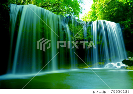 優雅で神秘的　新緑に包まれた鍋ケ滝 79650185