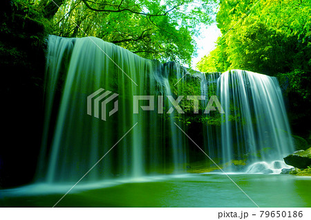優雅で神秘的　新緑に包まれた鍋ケ滝 79650186