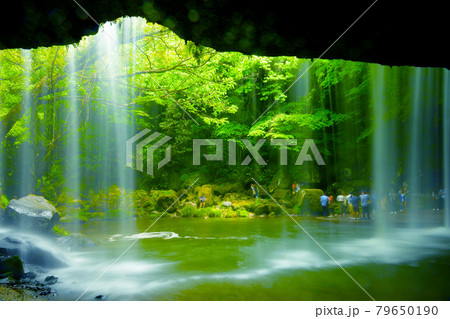 優雅で神秘的　新緑に包まれた鍋ケ滝 79650190