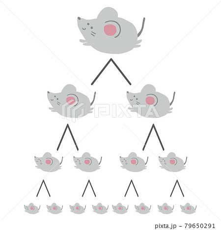 ねずみ算式 ねずみ講 増えるのイラスト素材
