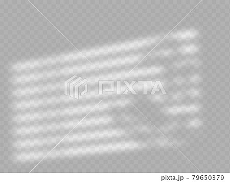 Window jalousie shadow frame and tree branch with leafs, natural interior soft light. 79650379