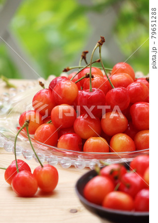 さくらんぼ(1) さくらんぼ(1) 79651288