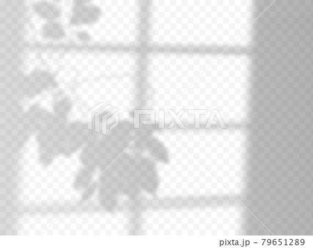 Modern shadow overlay, great design for any purposes. Blurred soft shadow from the window and Modern shadow overlay, great design for any purposes. Blurred soft shadow from the window and 79651289