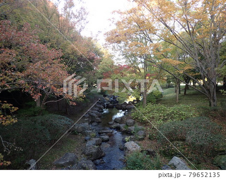 紅葉と小川 紅葉と小川 79652135