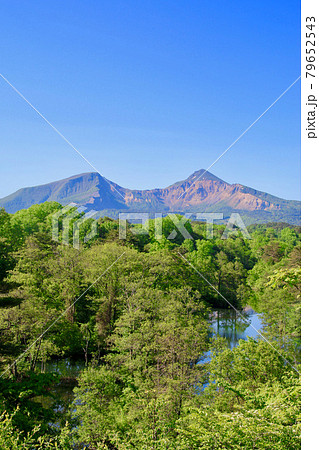 中瀬沼と磐梯山(福島県・北塩原村) 中瀬沼と磐梯山(福島県・北塩原村) 79652543