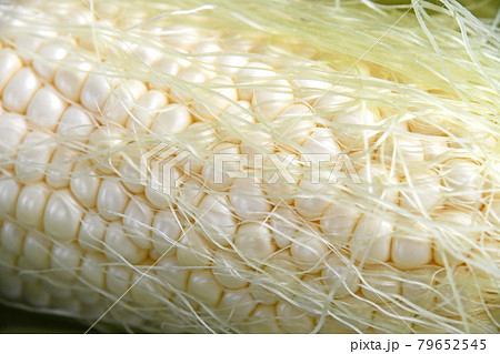 とうもろこし(クリスピーホワイト) とうもろこし(クリスピーホワイト) 79652545