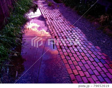 夏の夕暮れ時の雨上がりに紫色に染まる水たまり 夏の夕暮れ時の雨上がりに紫色に染まる水たまり 79652619