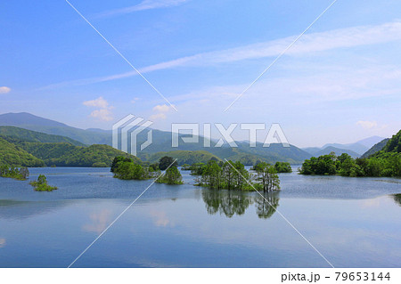 秋元湖(福島県・裏磐梯) 秋元湖(福島県・裏磐梯) 79653144