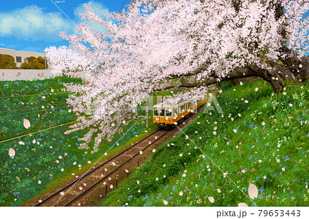 桜 電車(ことでん琴平線) 香川県綾川町のイラスト素材 [79653443] - PIXTA