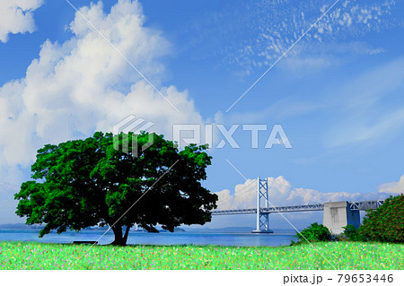 瀬戸大橋　沙弥島からの眺め(香川県坂出市) 79653446