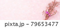 ピンク背景とドライフラワーの可愛いバナー素材 79653477