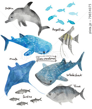 海の生き物の水彩イラストセットのイラスト素材
