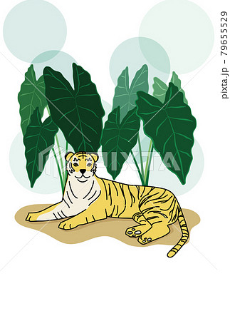 横たわる虎とアロカシアが背後にあるイラスト 年賀状のイラスト素材