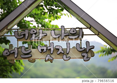 公園 花 ひときれ 79656516