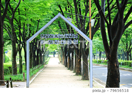 一本道 小道 公園 79656518