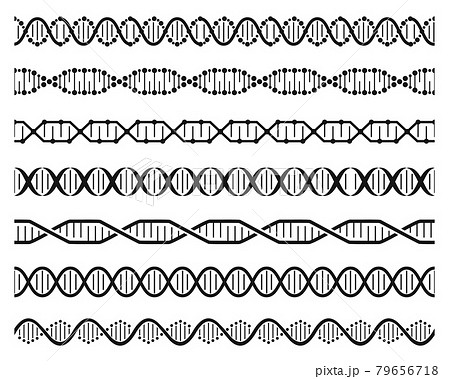Dna helix chains. Double helix gene molecule structure, human genetic code. Dna chain molecular sequence seamless element vector set 79656718
