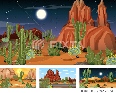 Different desert forest landscape scenes with various desert plants 79657178