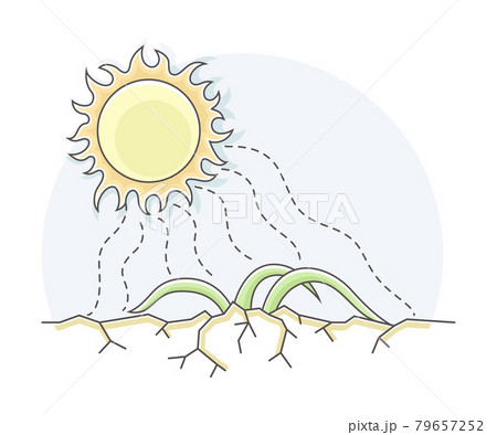 Arid Land and Drought as Natural Cataclysm Line Vector Illustration Arid Land and Drought as Natural Cataclysm Line Vector Illustration 79657252