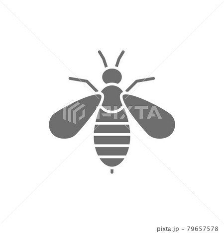Bee venom therapy grey icon. Isolated on white background Bee venom therapy grey icon. Isolated on white background 79657578