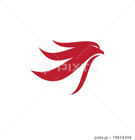 Falcon wing icon Template vector Falcon wing icon Template vector 79658308