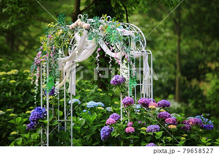 花 ガーデン 庭園 79658527