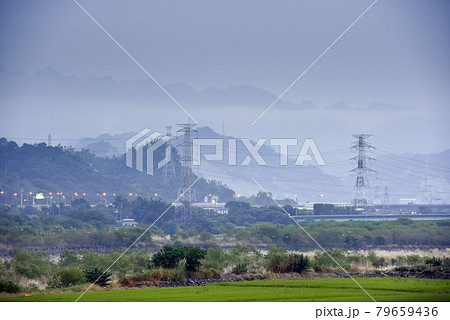 草 芝生 芝 79659436