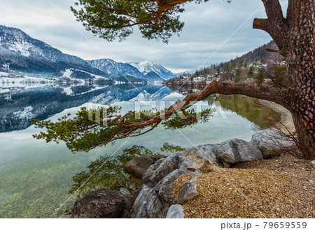 Cloudy winter Alpine  lake Grundlsee view (Austria) with big pine tree and fantastic pattern-reflection on the water surface and pine tree on shore. 79659559