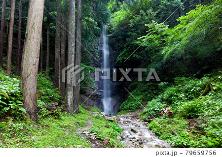 長野県阿智村の姿見不動滝 長野県阿智村の姿見不動滝 79659756