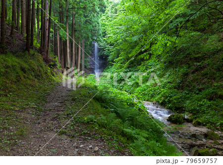 長野県阿智村の姿見不動滝へ向かう遊歩道 長野県阿智村の姿見不動滝へ向かう遊歩道 79659757