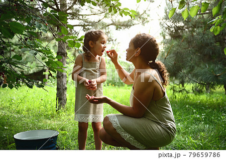 Adorable mother feeds her daughter with plucked cherries in the garden. Mom and daughter dress the same when picking cherries in summer 79659786