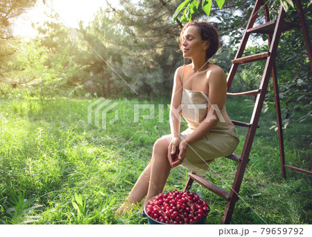 Beautiful woman in a linen dress sitting on a ladder next to a bucket of cherries in the orchard at sunset. Beautiful sun rays fall into the garden on a summer day Beautiful woman in a linen dress sitting on a ladder next to a bucket of cherries in the orchard at sunset. Beautiful sun rays fall into the garden on a summer day 79659792