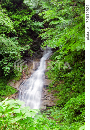 長野県阿智村の長寿の滝 長野県阿智村の長寿の滝 79659926