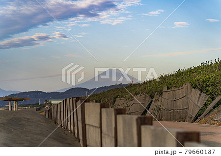 早朝の平塚海岸から見た富士山【神奈川県・平塚市】 79660187