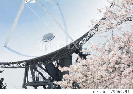 さくら宇宙公園　2021-4-3　＃38 79660291