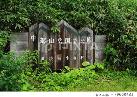 栂池自然園　長野県 79660433
