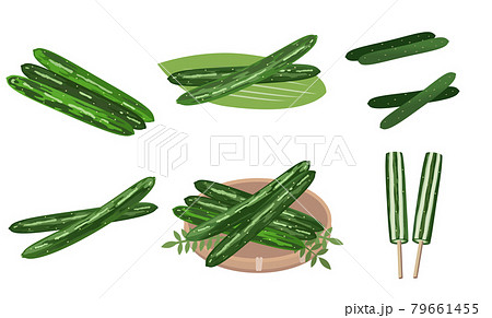 きゅうりのイラストセット 胡瓜の1本漬け 夏野菜のイラスト素材