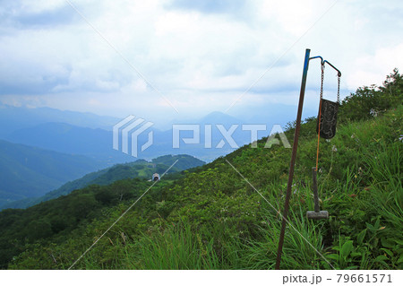 白馬五竜 高山植物園 長野県 白馬五竜 高山植物園 長野県 79661571