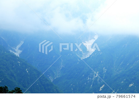 白馬五竜 高山植物園 長野県 白馬五竜 高山植物園 長野県 79661574
